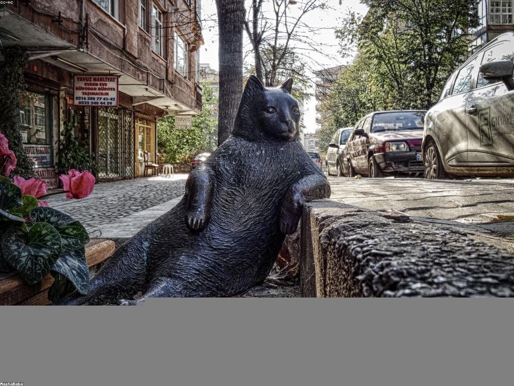 សមត្ថភាពនិងឱកាសក្នុងយុទ្ធសាស្ត្រអាជីវកម្ម