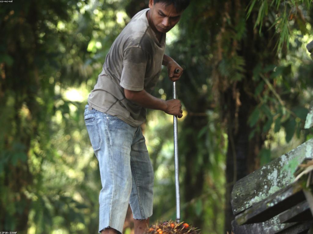 សមត្ថភាពនិងឱកាសក្នុងការអភិវឌ្ឍភាពច устойчив性
