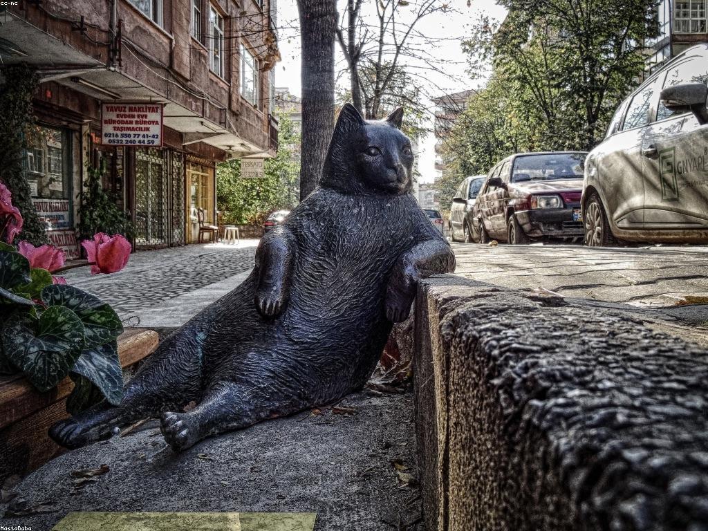 សមត្ថភាពនិងឱកាសក្នុងការលូតលាស់ផ្ទាល់ខ្លួន