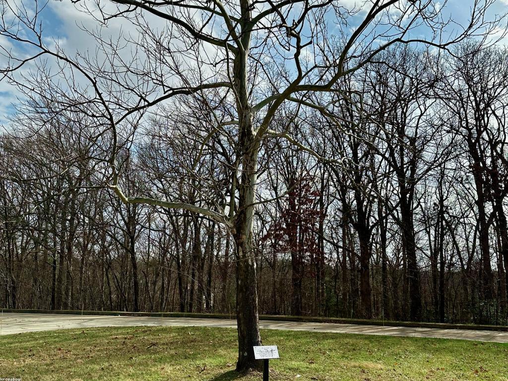 ការបង្កើតសម្ថភាពនិងឱកាសថ្មីនៅក្នុងការអភិវឌ្ឍន៍បច្ចេកវិទ្យា